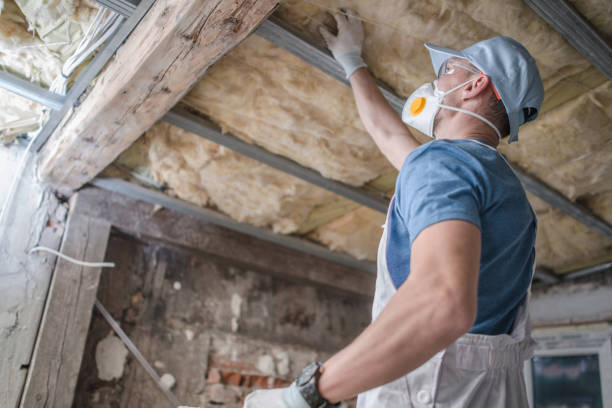 Best Specialty Insulation in Coushatta, LA