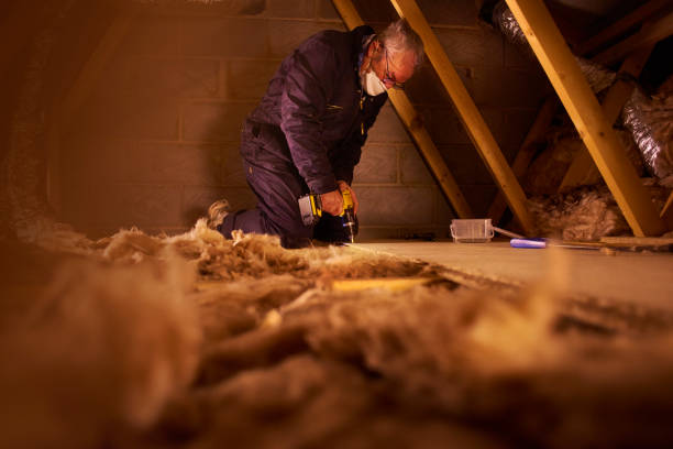 Best Insulation Installation Services in Coushatta, LA