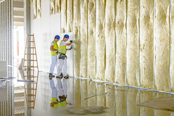Best Insulation for Specific Applications in Coushatta, LA